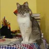 Отзыв от Екатерина Свешникова